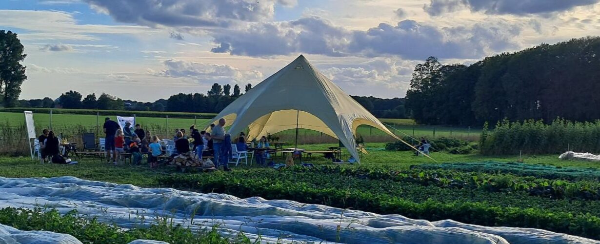Gemüsebeete und im Hintergrund ein Zelt und Menschen bei einem Fest