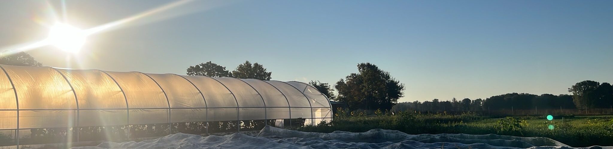 Der Acker bei Herbstsonne