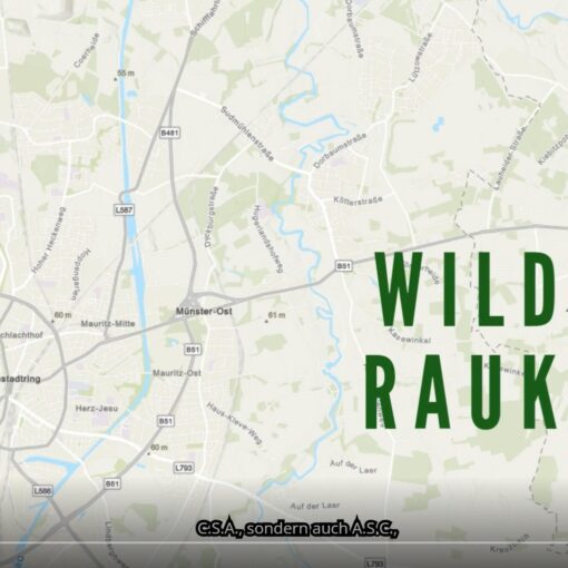 der Stadtplan von Münster und Umgebung. mit einer Stecknadel markiert ist der Standort der Wilden Rauke.